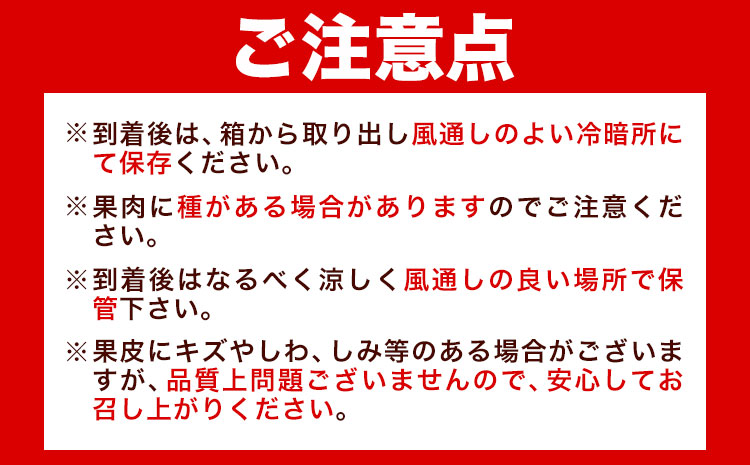 【先行予約】とろける食感!ジューシー柑橘 せとか 約3kg 株式会社魚鶴商店《2026年2月下旬-3月下旬頃出荷》 和歌山県 日高町 せとか 柑橘