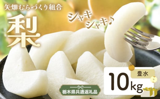 N03 梨 なし 豊水 10kgフルーツ 先行予約 矢畑むらづくり組合《8月下旬-9月中旬頃出荷》 栃木県【栃木県共通返礼品　栃木県産】【配送不可地域あり】(離島)