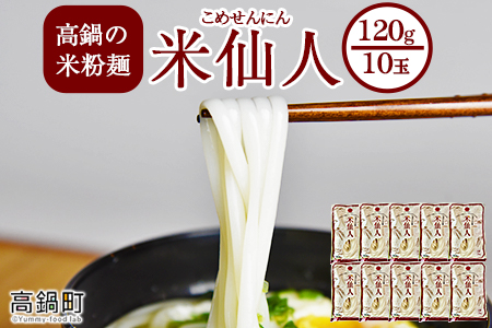 ＜高鍋の米粉麺「米仙人」 120g×10玉＞翌月末迄に順次出荷【c893_tr_x2】