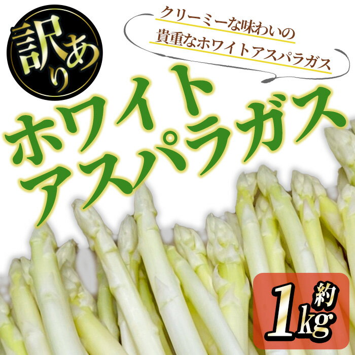 【ふるさと納税】＜期間限定！2025年3月上旬以降順次発送予定＞＜訳あり＞ホワイトアスパラガス　(約1kg)　家庭用 国産 香川県 冷蔵 アスパラガス アスパラ ホワイトアスパラ ホワイトアスパラガス クリーミー 野菜 訳あり お試し 自宅用 【man081】【Aglio nero】