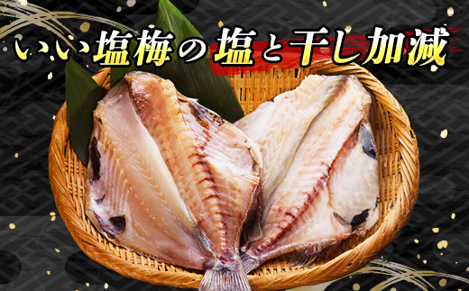 厳選したツボダイを一夜干しにした 「つぼ鯛(半身150g)」1パック | ツボダイ ツボ鯛 一夜干し 無添加 つぼだい 小分け 白身魚 おつまみ 焼魚 焼き魚 定食 魚 干物 セット ひもの 冷凍 冷