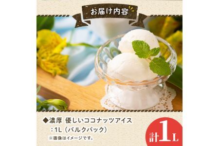 フルーツソムリエが作った濃厚優しいココナッツアイス 業務用 (1L) アイス アイスクリーム ココナツ 手作り スイーツ ＜離島配送不可＞【ksg0055】【南国フルーツ】
