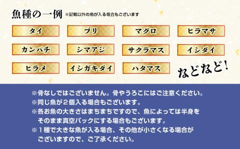 （冷蔵）伊勢志摩産　朝どれ　２～３種（約800ｇ）　お刺身用　おまかせセット／城水産　鯛　鰤　たい　ブリ　新鮮　真空　海の幸　三重県　南伊勢町