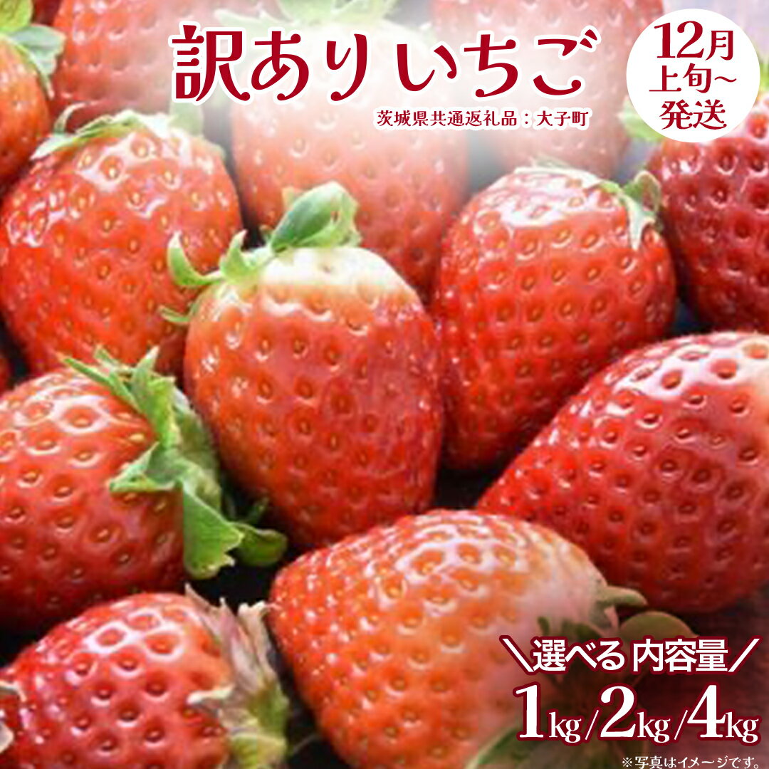 【ふるさと納税】《 選べる 内容量 》訳あり いちご 1kg / 2kg / 4kg 【2025年12月上旬発送開始】(茨城県共通返礼品：大子町) 苺 果物 フルーツ 果実 ご家庭用