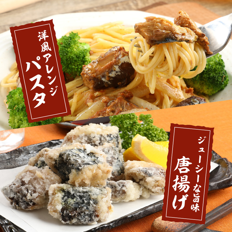 さば味付缶セット(12缶)【B2-109】 さば サバ 鯖 さば缶 サバ缶 非常食 保存食 簡単調理