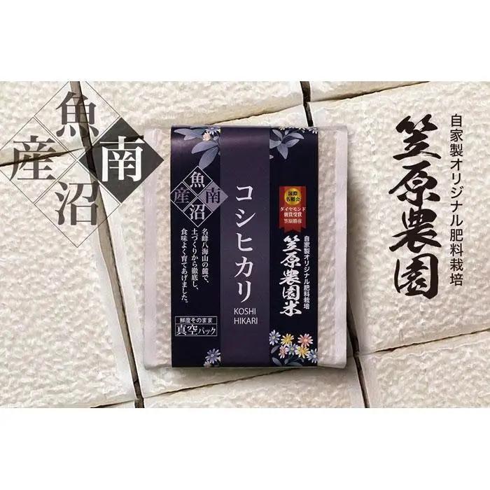 【定期便】【令和7年】南魚沼産 笠原農園米 コシヒカリ 3合真空パック20個（簡易包装）×全６回 　|  コシヒカリ