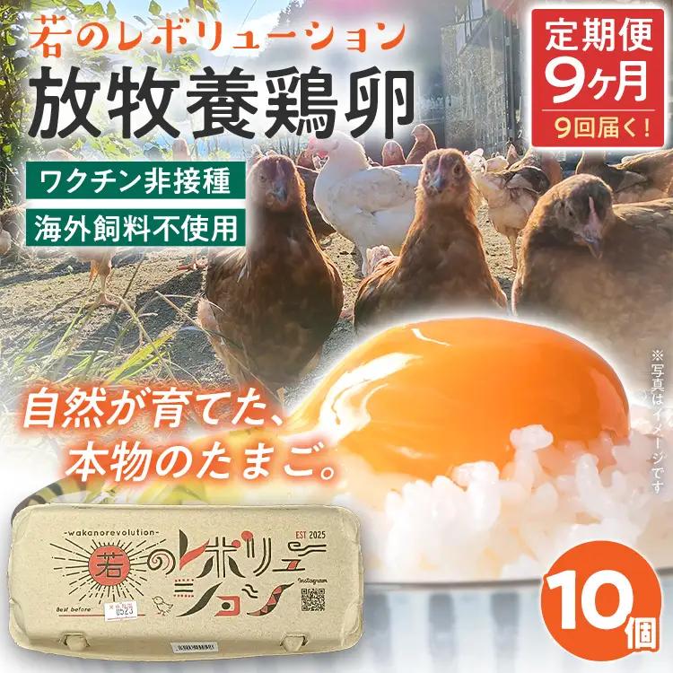 卵 定期便 9回 放牧養鶏卵 10個 「破損補償2個含」 9ヶ月間 若のレボリューション 卵 ※北海道・沖縄・離島は配送不可