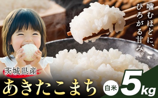米 あきたこまち 白米 令和7年産 茨城 ふるさと米 5kg《1-5日以内に出荷予定(土日祝除く)》 茨城県 結城市 米 国産 お米 おこめ お弁当 おにぎり