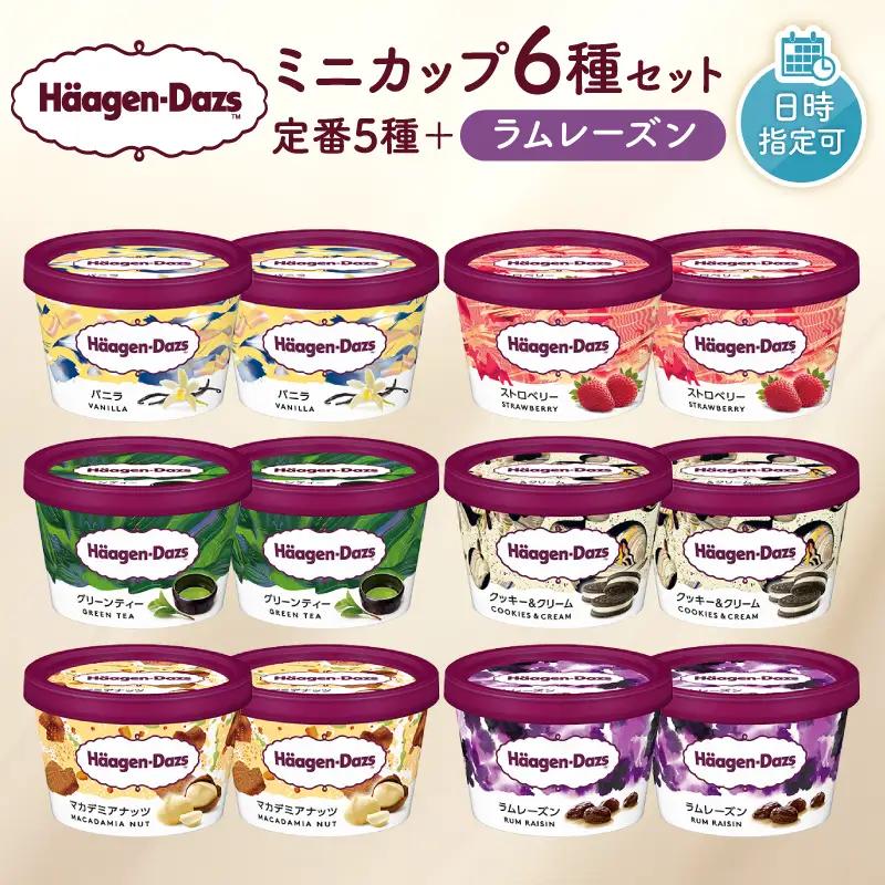 ハーゲンダッツ 『ミニカップ12個 定番＆ラムレーズン』 アイスクリーム アイス_H0016-195