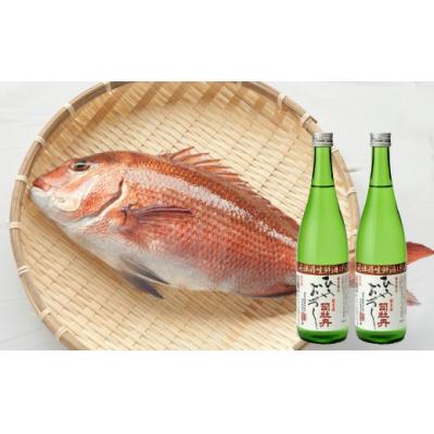 ふるさと納税 佐川町 【年4回】鮮魚・日本酒(司牡丹酒造)定期便 |  | 01