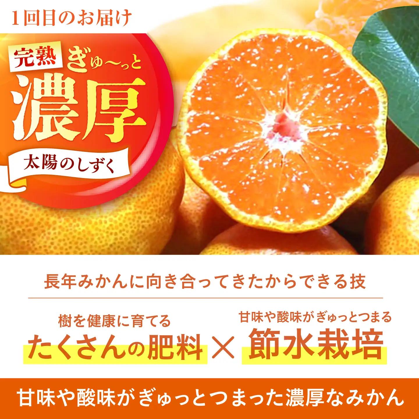 食べくらべ定期（太陽のしずく・今村温州みかん）[HCE003] みかん 果物 FN-Limited-SP