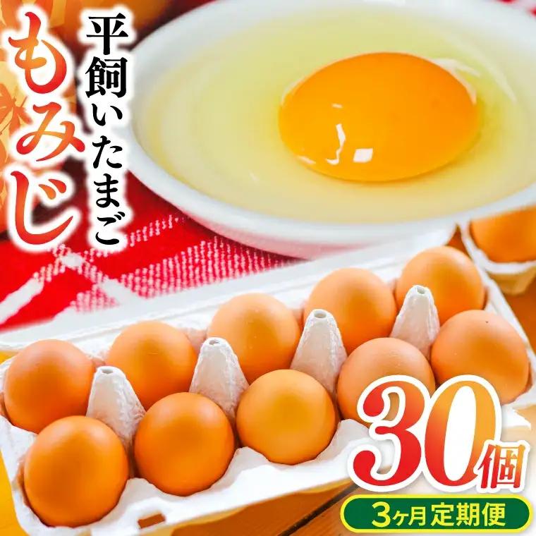 【卵 定期便3か月】純国産鶏「もみじ」平飼い卵 30個×３回  (AJ024) 