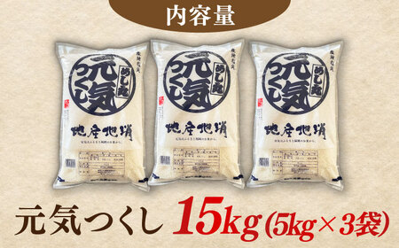 【令和6年産】元気つくし 15kg （5kg×3袋） 米 こめ コメ お米 ご飯 ごはん 精米 白米 新米 ライス 元気つくし 県産米 国産米 ブランド米 福岡 広川町 / JAふくおか八女農産物直売