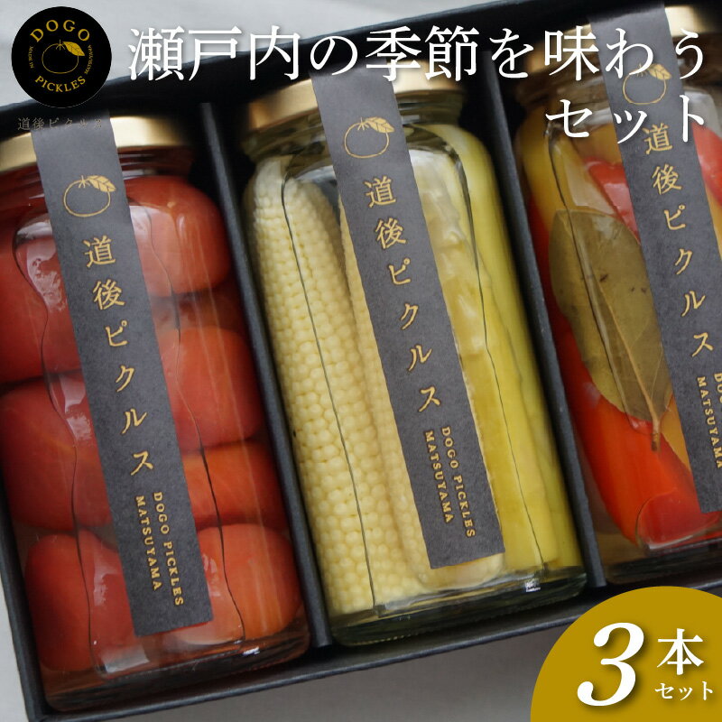 【ふるさと納税】 ピクルス 瀬戸内の季節を味わう3本セット | 野菜 旬 柑橘 果物 くだもの フルーツ 酢 ピクルス お取り寄せ グルメ 期間限定 人気 おすすめ 愛媛県 松山市
