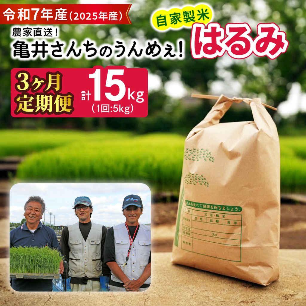 【ふるさと納税】[定期便／3ヶ月連続] 令和7年産 伊勢原産 精米(5kg×3回)計15kg はるみ 農家直送！亀井さんちのうんめぇ！自家製米｜ お米 おこめ コメ 白米 神奈川 伊勢原 ブランド米 [0977]