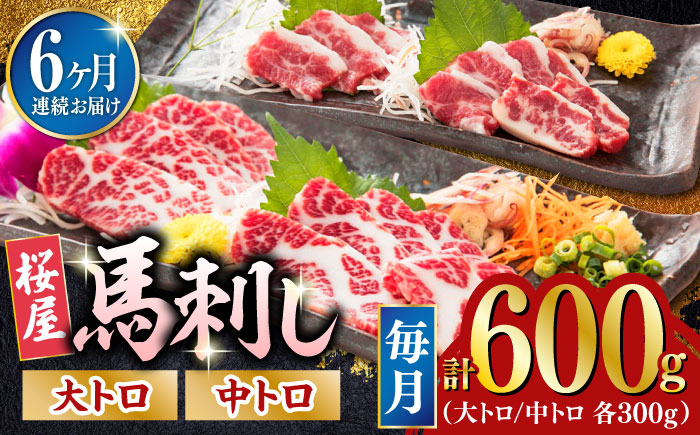 【2025年2月~順次発送】【全6回定期便】馬刺し 2種 計600g (大トロ 中トロ)各300g【山都町（桜屋）】 [YBW105]