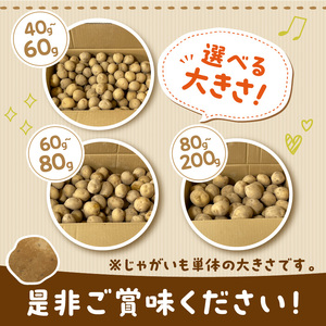 【予約：2024年2月から順次発送】【選べる3サイズ】宇野さんの手拾い、手選別の越冬ジャガイモ 5kg ( 芋 野菜 選べる )【167-0003】