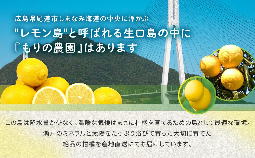 【有機JAS認証】レモン島からお贈りするオーガニックレモン ３kg 有機レモン 2026年2月以降発送予定 産直 国産 有機栽培