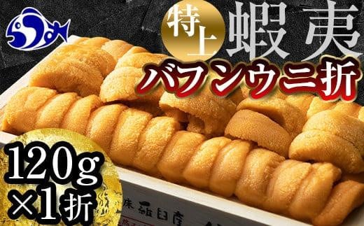 羅臼産 折うに（特上120g （120g×1枚）　北海道知床羅臼産 天然 エゾバフンうに