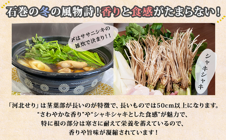 【12月10日発送】せり鍋 セット 4-5人前 せり 長ねぎ パックご飯 スープ 鶏肉 セリ セリ鍋 河北せり 野菜 鍋