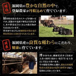 【A5ランク】博多和牛サーロインブロック1.0kg(ジャポネソース付)【伊豆丸商店】_HA0181