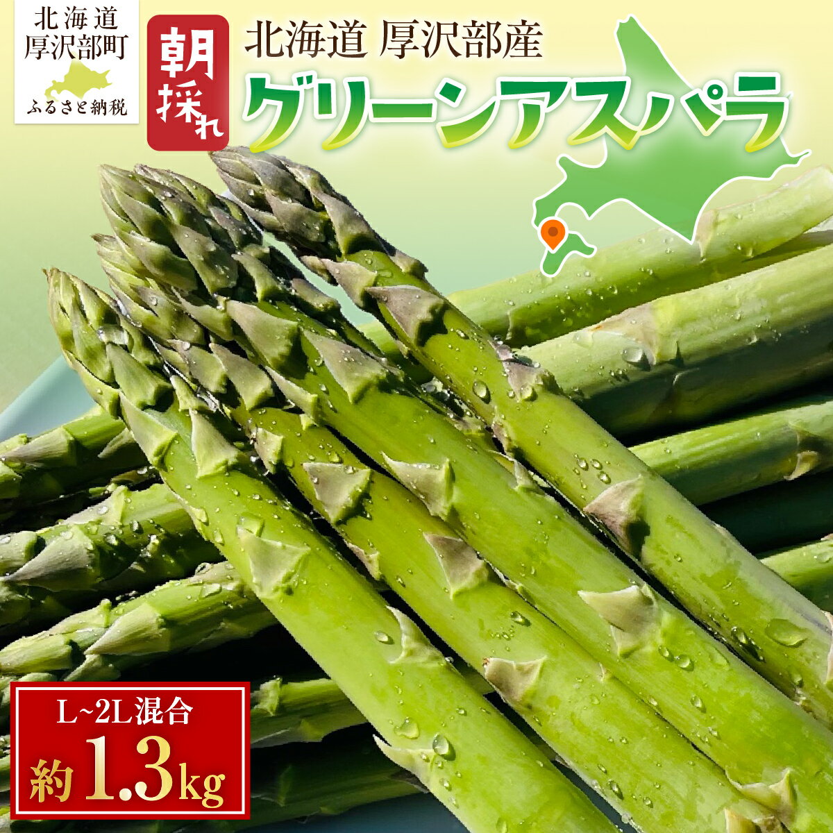 【ふるさと納税】【先行予約 令和8年6月発送】北海道厚沢部町産 庄山農園の朝採れグリーンアスパラガス 1.3kg アスパラ グリーンアスパラ 冷蔵 新鮮 産地直送