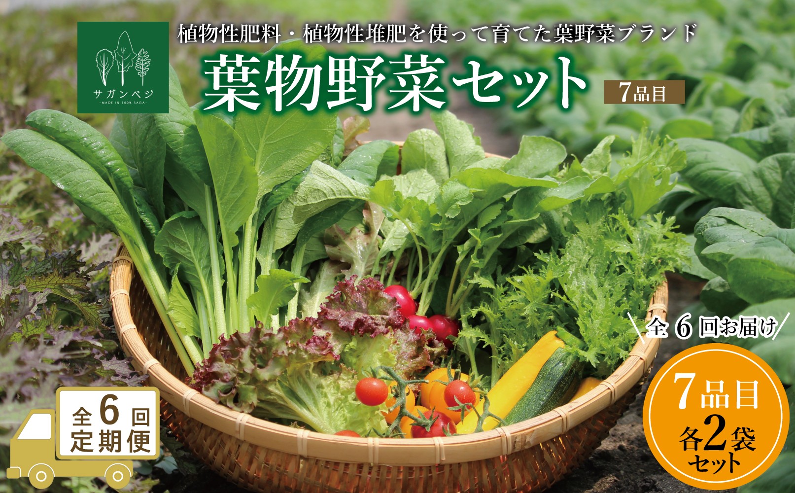 
                  【定期便セット】オーガニック葉物野菜セット全6回【植物性肥料と植物性追肥を使って育てた葉野菜ブランド】葉野菜７品目×2パック
                