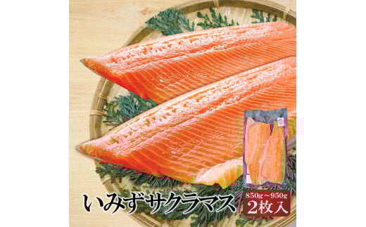 魚 鮭 切身 いみずサクラマス 2枚入(約850g～約950g)おつまみ 弁当 サーモン グルメ 食品/富山県射水市