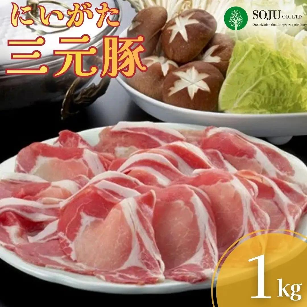 三条果樹専門家集団 にいがた三元豚 豚肉 しゃぶしゃぶ用 ロース とんかつ用 ロース