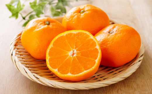 【高島屋選定品】【九州屋】【先行予約】味ロマン5kg（S～Mサイズ）＜高島屋＞ [CFQ058]