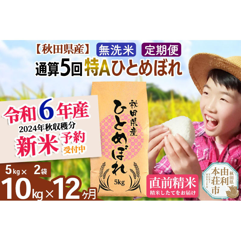 
※令和6年産 新米予約※《定期便12ヶ月》【無洗米】通算5回特A 秋田県産ひとめぼれ 計10kg (5kg×2袋)【2024年12月頃出荷予定】
