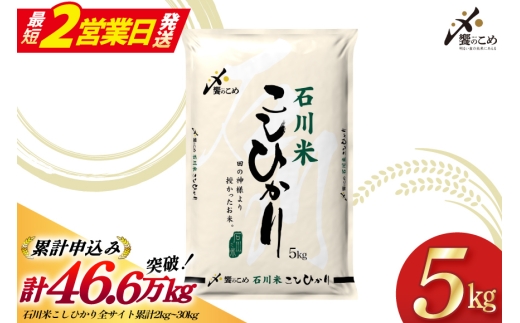 【最短2営業日発送】 米 令和7年 石川米 こしひかり 精米 5kg [中橋商事 石川県 宝達志水町 38601197-sp] お米 こめ コメ 令和7年産 コシヒカリ 白米 ごはん ご飯 5キロ 能登 石川