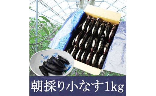 
やまがたの朝採り漬物用小なす1kg 漬物の素付き FZ20-172
