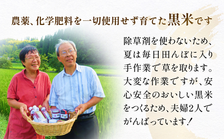 食べる甘酒セット（ ノンアルコール ） 玖珠町産 黒米 玄米 もち米 甘酒 あま酒 ノンアルコール アントシアニン 免疫力 栄養素 手作業 自家製 籾すり器 免疫 自然 食生活 料理 健康 体に良い 