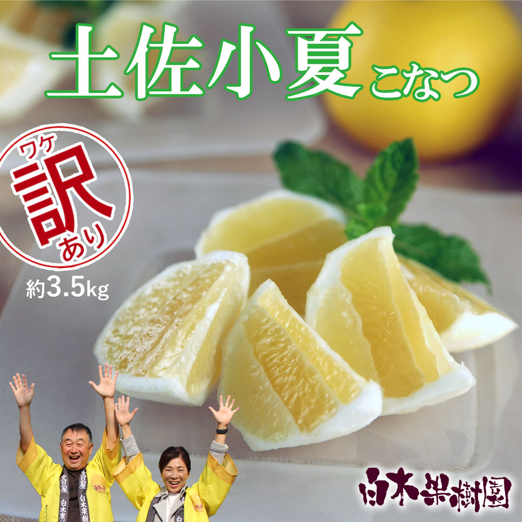 
                  【先行予約】＜白木果樹園＞ 土佐小夏 訳ありご家庭用 約3.5kg 3.5キロ〈2026年5月下旬～6月下旬頃発送〉  / こなつ 柑橘 かんきつ 柑橘類 フルーツ 日向夏 ニューサマーオレンジ 西内小夏 果物【白木果樹園】 [BQAI033]
                