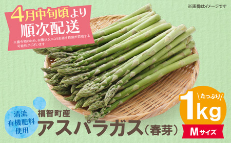 W18-20-01 清流・有機肥料使用 アスパラガス(春芽) 1kg(M) 【2026年4月より順次配送開始】 