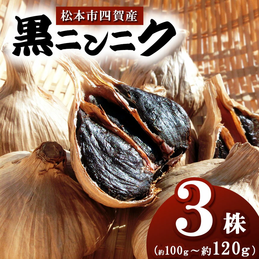 【ふるさと納税】松本市四賀産・黒ニンニク | ニンニク にんにく 健康 スタミナ 野菜 有機栽培 長野県 松本市