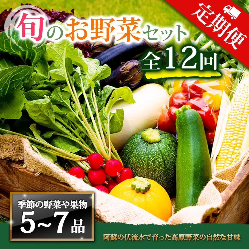 【定期便 全12回】畑から直送  季節のお野菜セット Mサイズ 