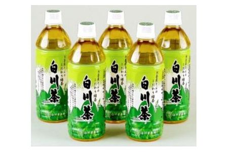 【2607-2069】※白川茶ペットボトル500ｍｌ24本入り