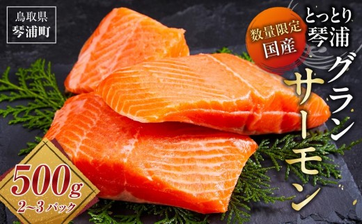 
                  サーモン 琴浦 グランサーモン 500g ( 2-3パック ) 【 刺身 生食可 国産 サーモン 国産サーモン 養殖 陸上養殖 養殖サーモン サーモン 刺し身 さしみ 小分け 真空 冷凍 サーモン丼 鮭 サケ 魚 サーモン さかな グランサーモン 海鮮 魚介類 養殖サーモン カルパッチョ 柵 サーモン柵 鳥取 人気 おすすめ おいしい 美味しい 国産サーモン 琴浦町 】
                