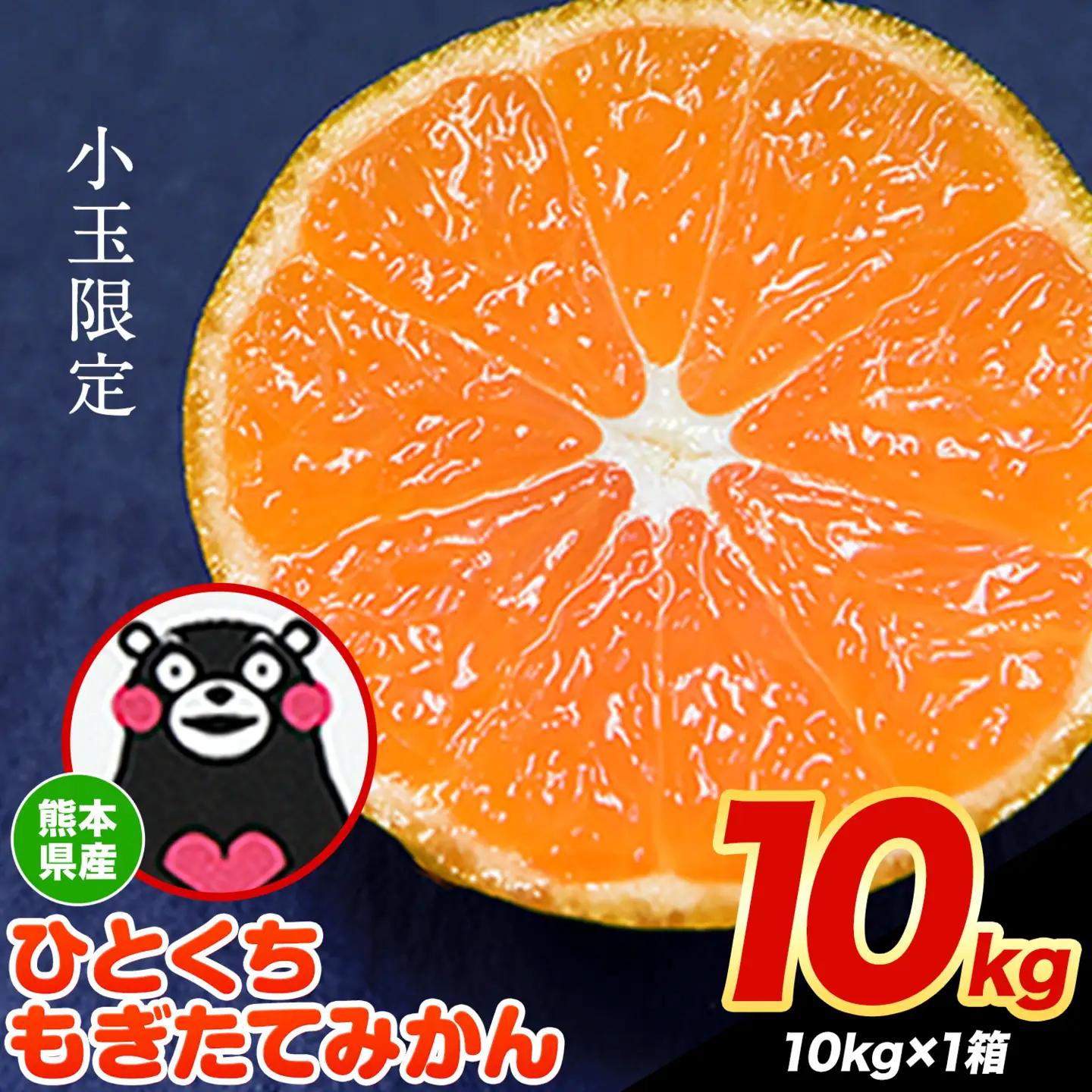  訳あり ひとくちもぎたてみかん 約 10kg (10kg×1箱) S-3Sサイズ 《9月下旬-12月下旬頃出荷》 みかん 訳ありみかん 熊本県産みかん 大容量