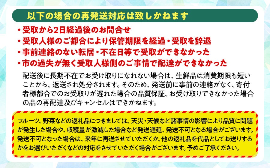 【令和8年産先行予約】 デラウェア 約1kg（5～6房） 山形県鶴岡市産　ヤマトク
