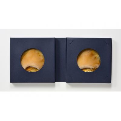 ふるさと納税 気仙沼市 2025 年内発送 【TVで紹介】ふかひれステーキ3箱 石渡商店 宮城県 気仙沼市 20565858 |  | 03