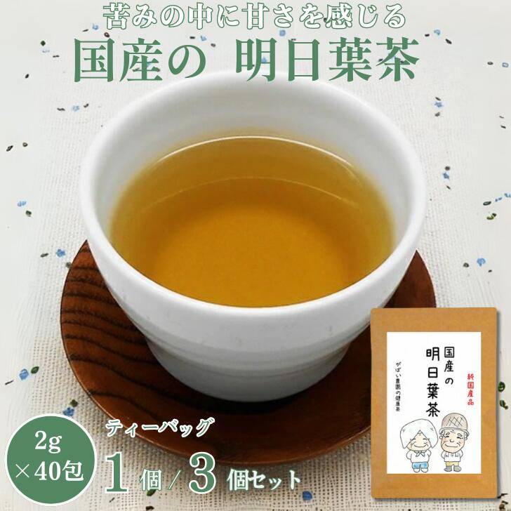 【ふるさと納税】国産 明日葉茶：B100-016