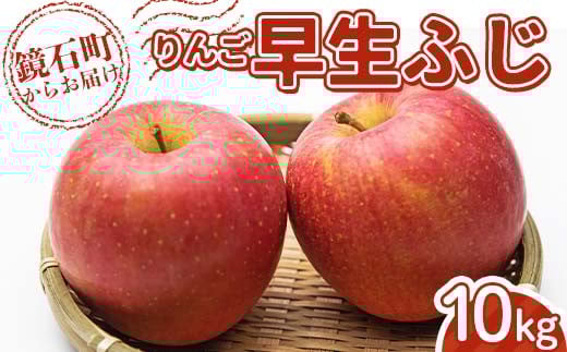 りんご 早生ふじ 10kg （24玉～40玉） リンゴ フルーツ 果物 F6Q-288