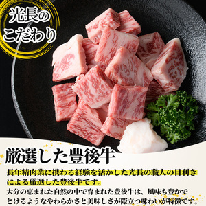 豊後牛 サーロインサイコロステーキセット 光長亭 特製タレ付(200g+250ml)牛肉 お肉 焼肉のたれ サーロインステーキ【109900100】【ショッピングストアー光長】