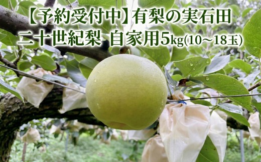 【予約受付中】有梨の実石田 二十世紀梨 自家用5㎏
