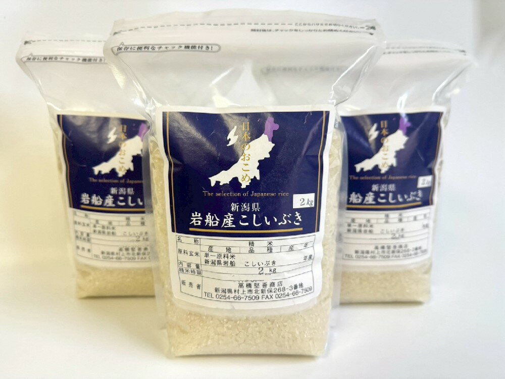 【ふるさと納税】【数量限定】【令和6年産米】新潟県村上市岩船産 こしいぶき 6kg　お米 精米 白米 ごはん ご飯 新潟県産 新潟産 お取り寄せ 新潟県 村上市 送料無料 1090001
