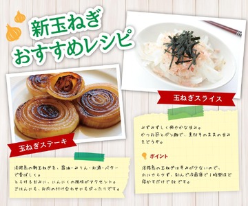 【予約販売】海月館 自社農場栽培！淡路島産 新玉ねぎ 3kg