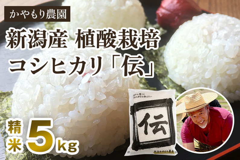 
                  【令和7年産】新潟産コシヒカリ「伝」白米真空パック 精米5kg 《9月下旬～順次出荷》 南麻布の高級料亭で提供される極上米 かやもり農園
                